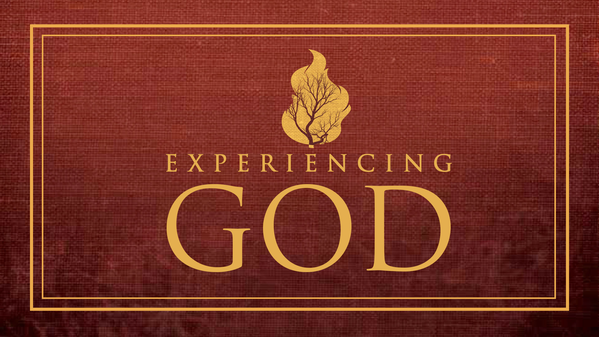 College - Experiencing God Study