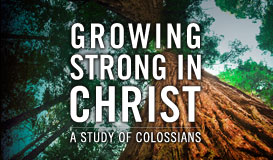 Growing Strong In Christ